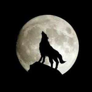 Meet your Posher, Kathryn